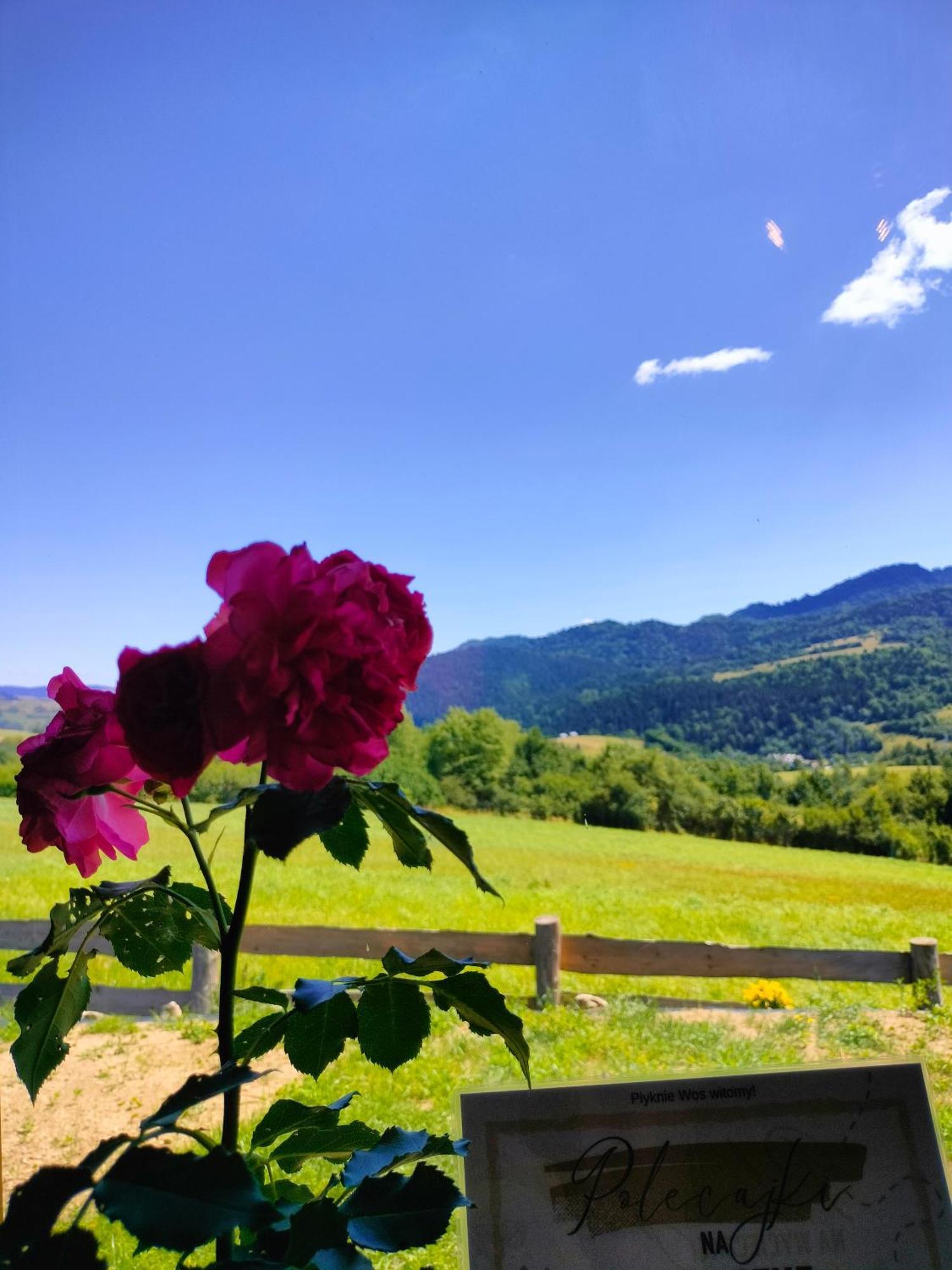 Domek Na Lakach Grywald Exteriör bild
